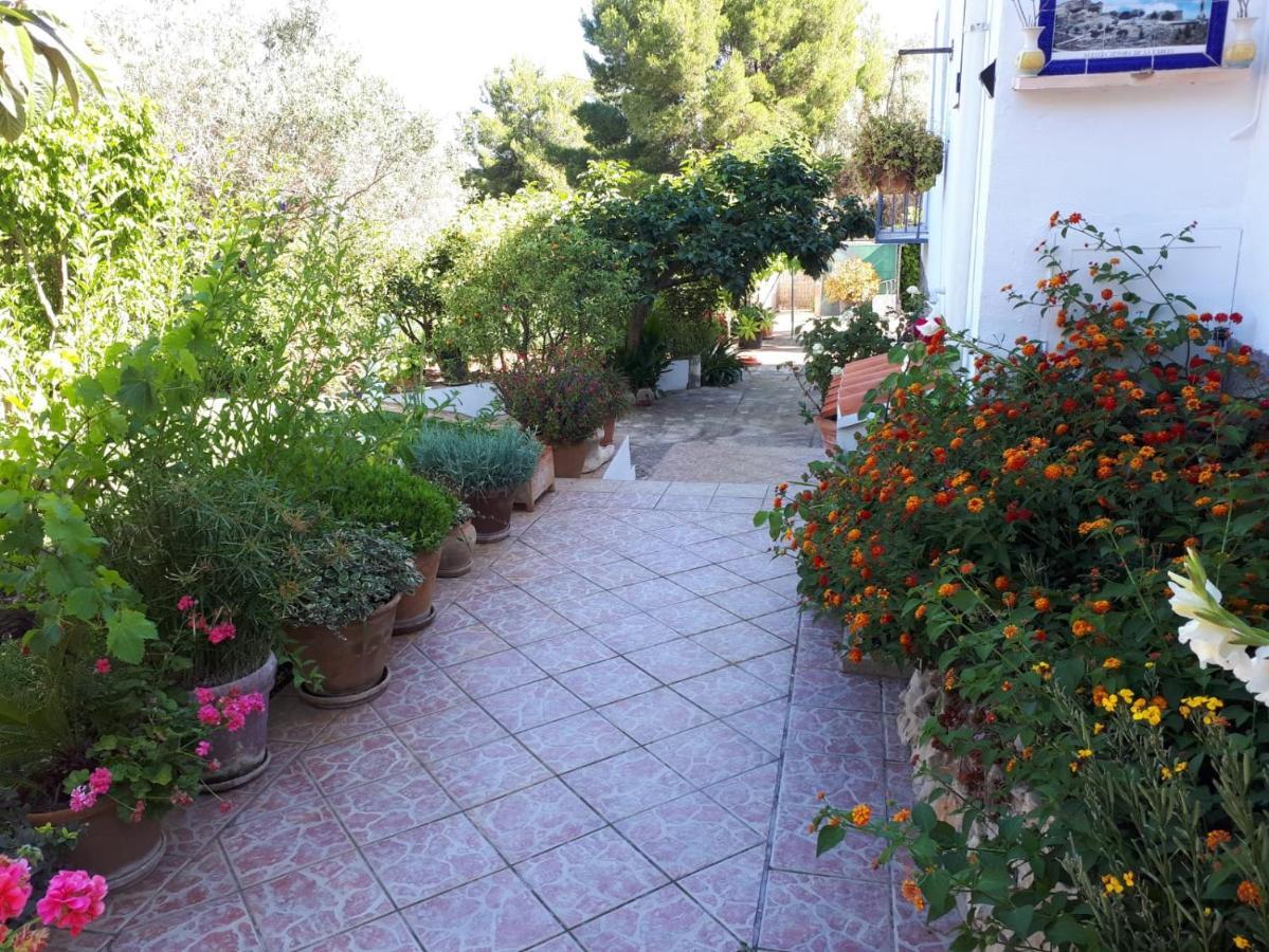 Villa Paradise Private Pool And Garden In A Natural Park For 9 Jávea Exterior photo